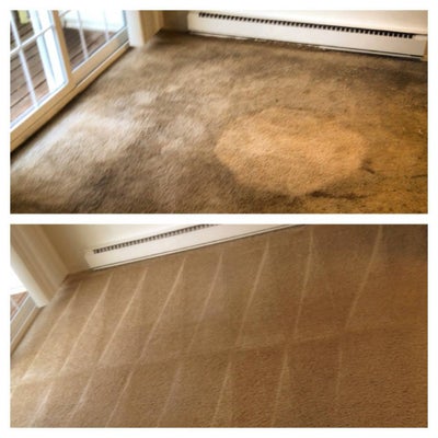 photo of New Life Carpet Cleaning Inc.