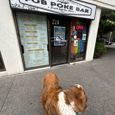 photo of FOB Poke Bar