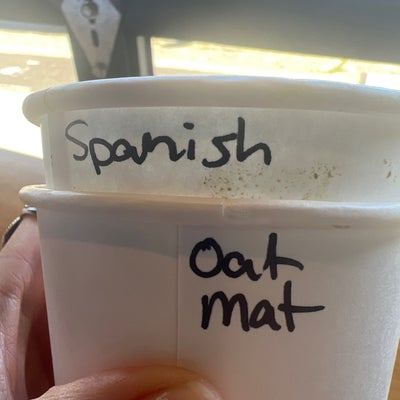 photo of Manifesto Coffee