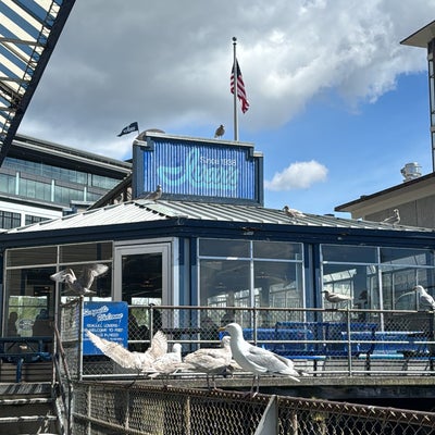 photo of Ivar's Fish Bar