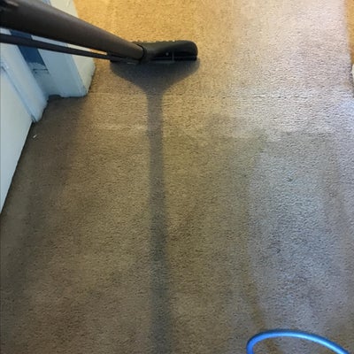 photo of Carpet Cleaning LLC