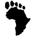photo of African Footprint Safaris