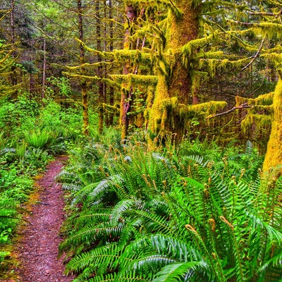 photo of McDonald Mountain Trailhead