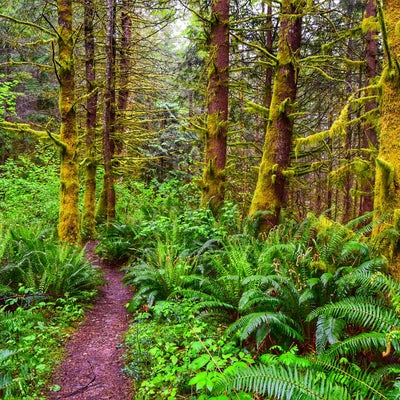 photo of McDonald Mountain Trailhead