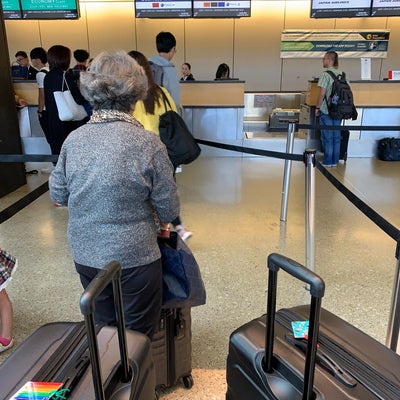 photo of Japan Airlines Ticket Counter