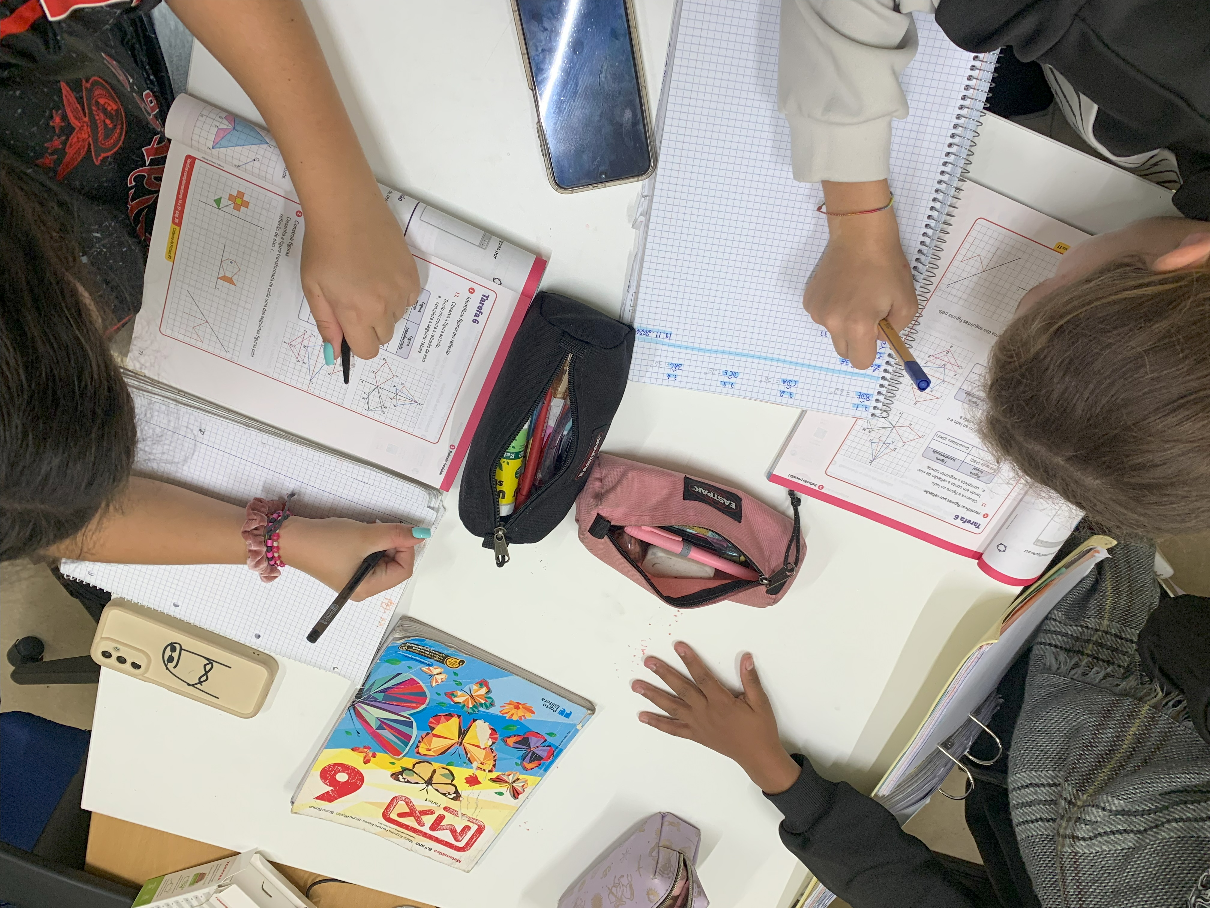 Descrição BaticAmigo