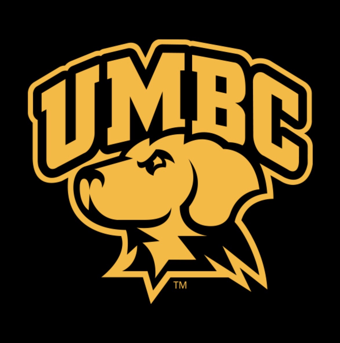 UMBC Black
