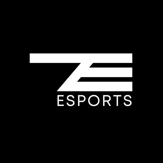 73esports