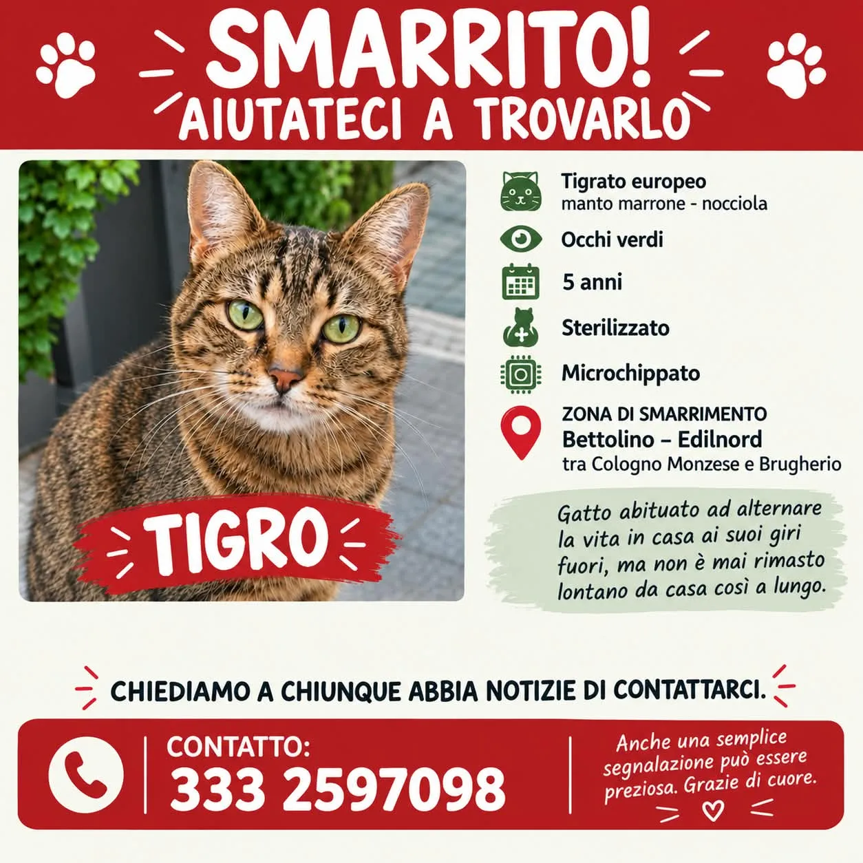Foto annuncio 1: Tigro