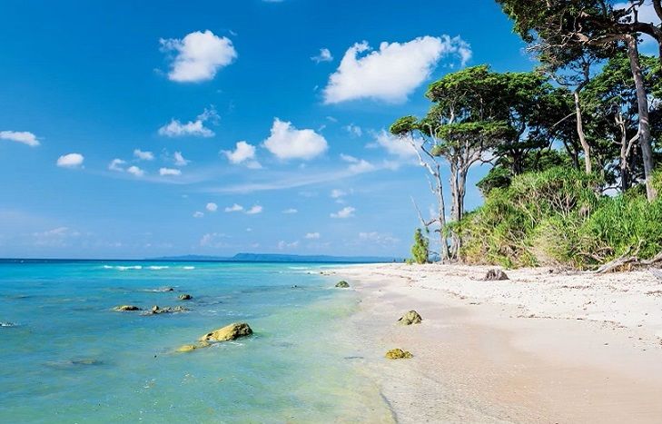 Paradise on a Budget: Explore Port Blair & Havelock with Bayard Vacations