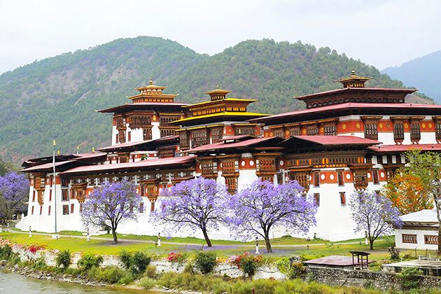 Bhutan: A Journey Through the Land of Dragons