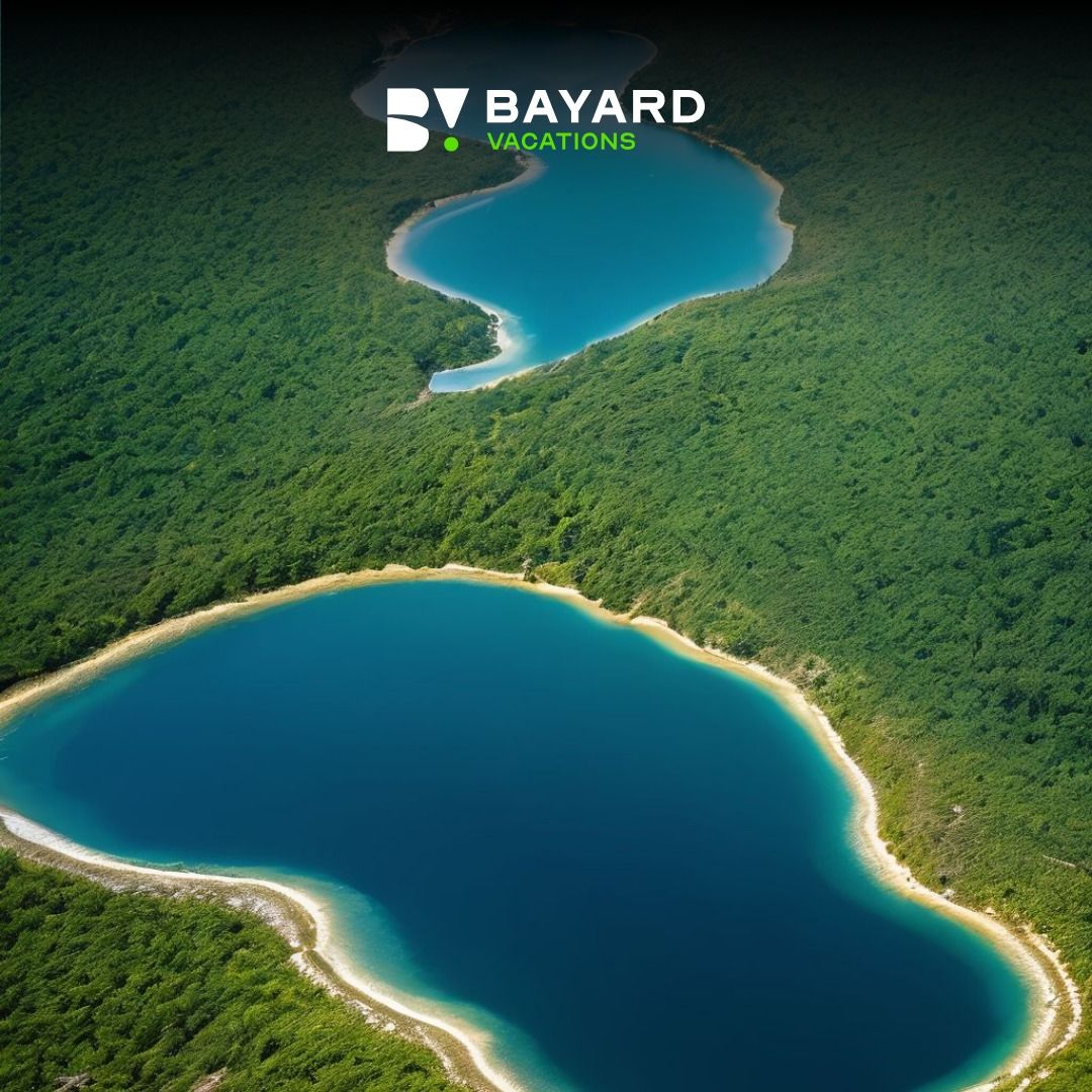 Stress-Free Travel Planning with Bayard Vacations