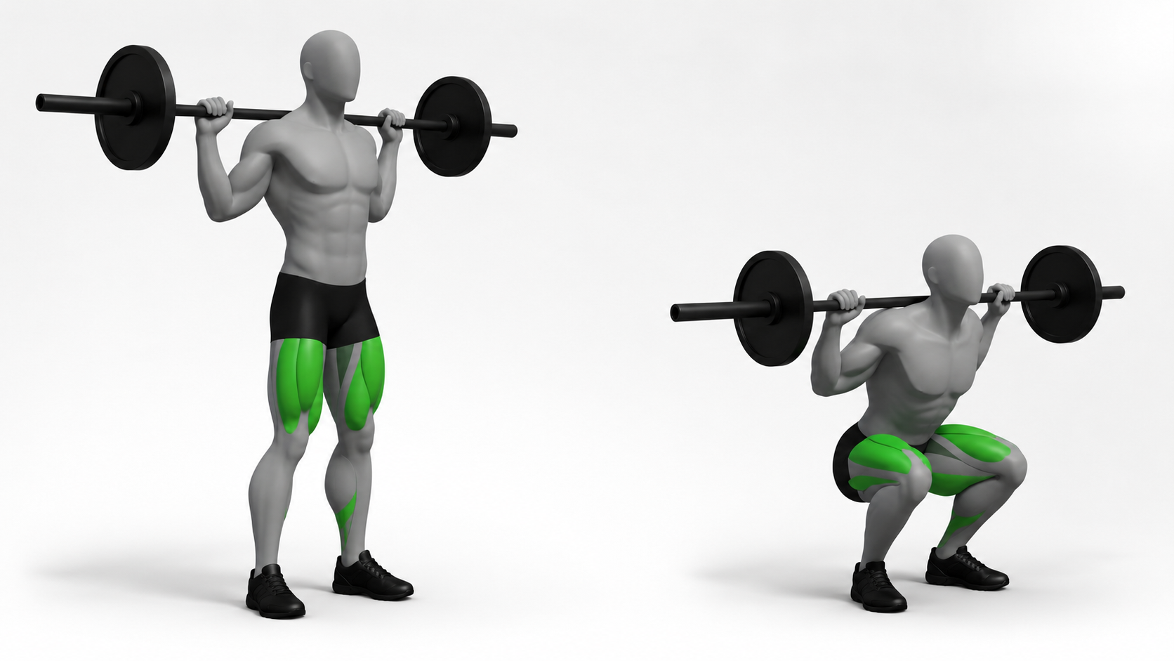 barbell back squat exercise showing start and bottom position
