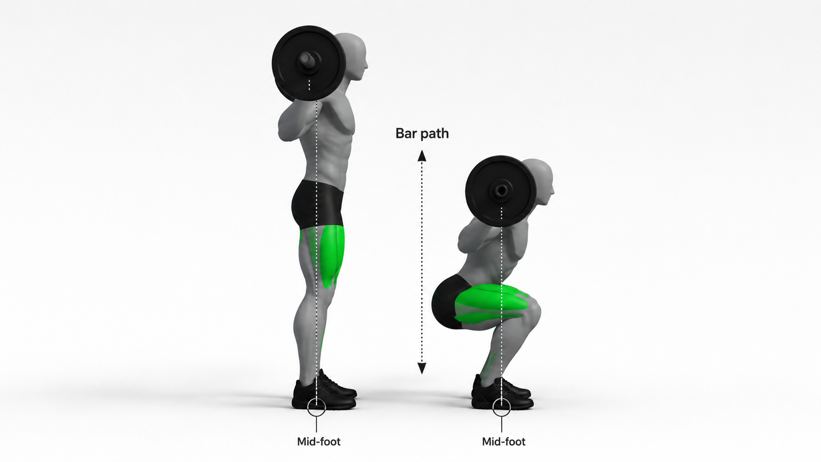 barbell squat side view showing vertical bar path over mid foot