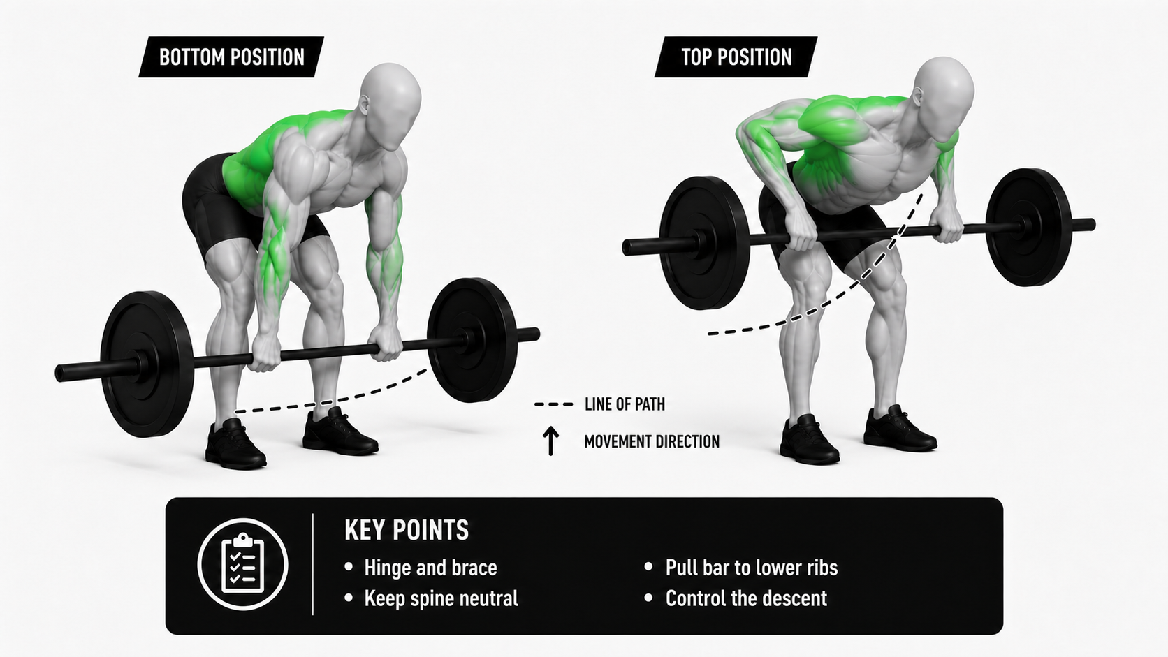 barbell row line of path showing bar moving close to the body toward the lower ribs