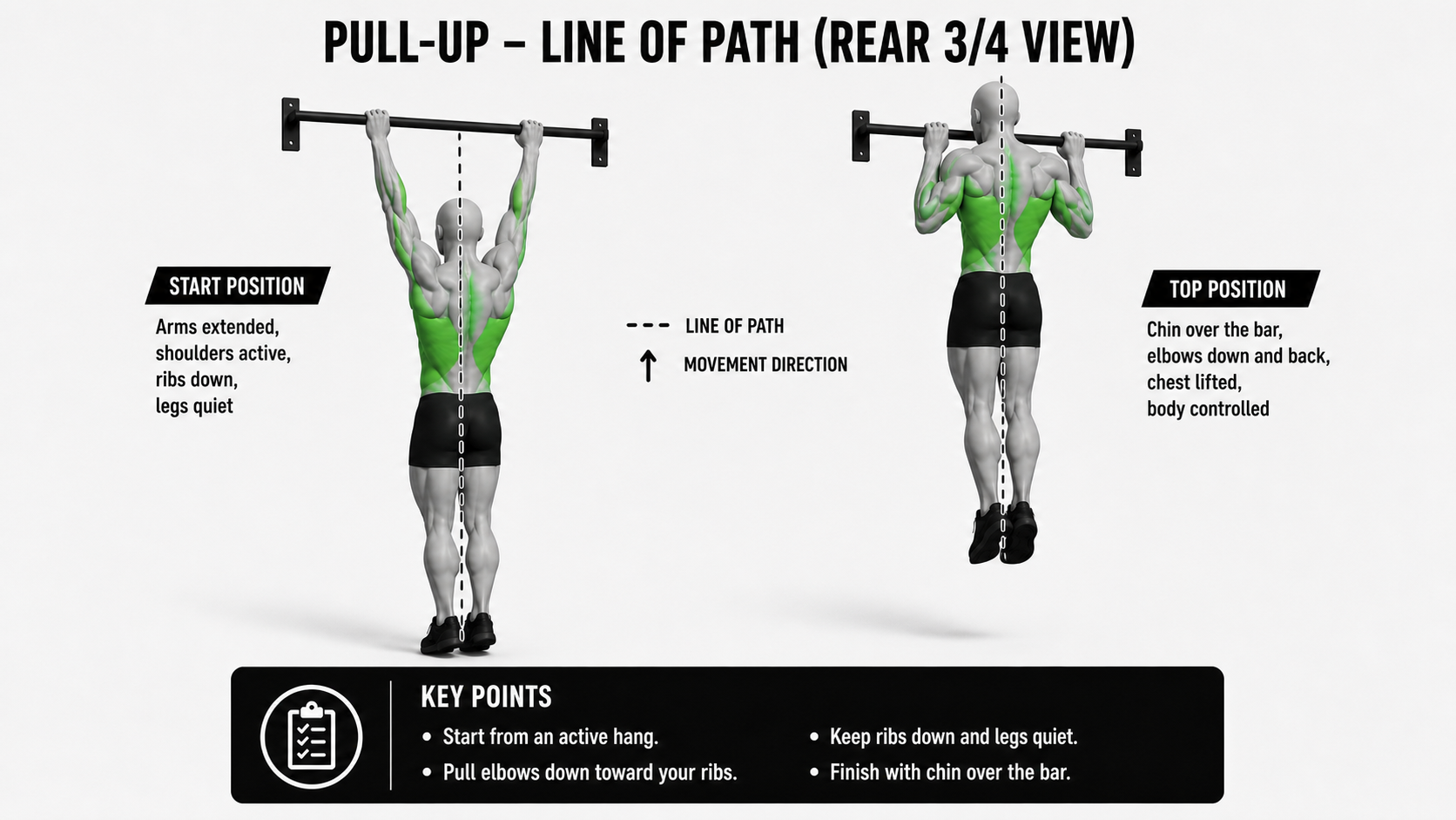 pull-up rear view showing vertical body path from active hang to chin over the bar