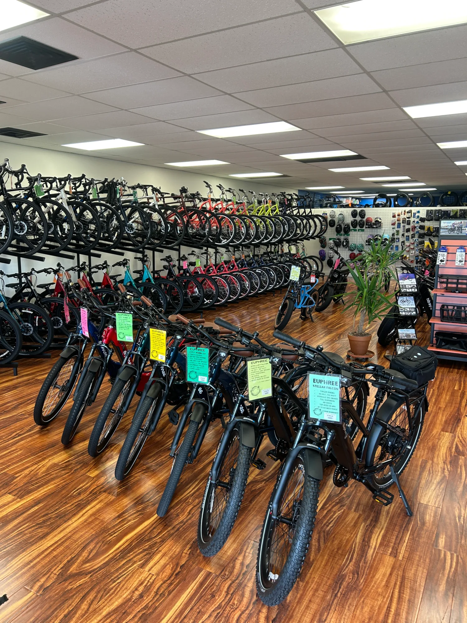 Bonita Bikes