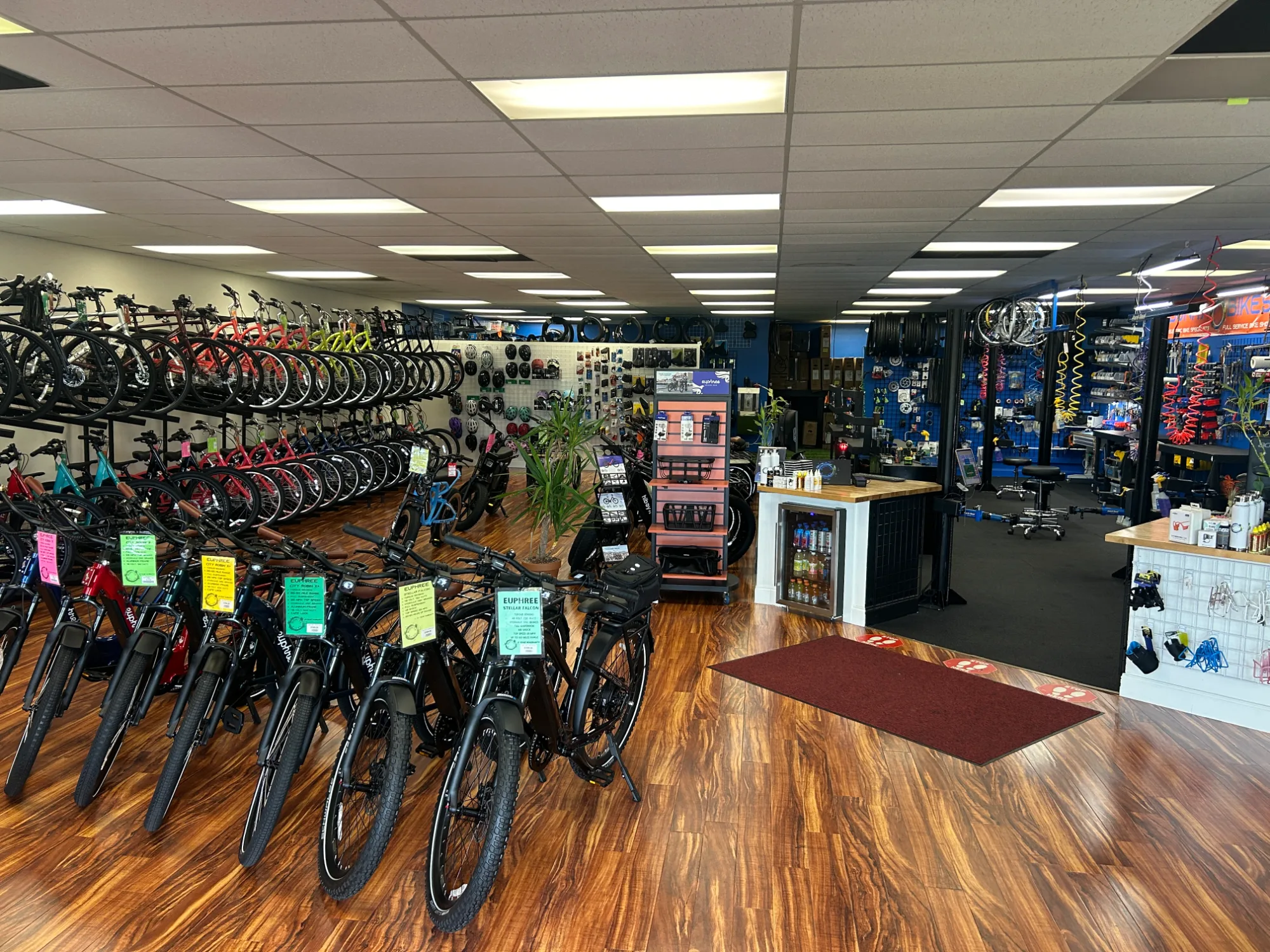 Bonita Bikes