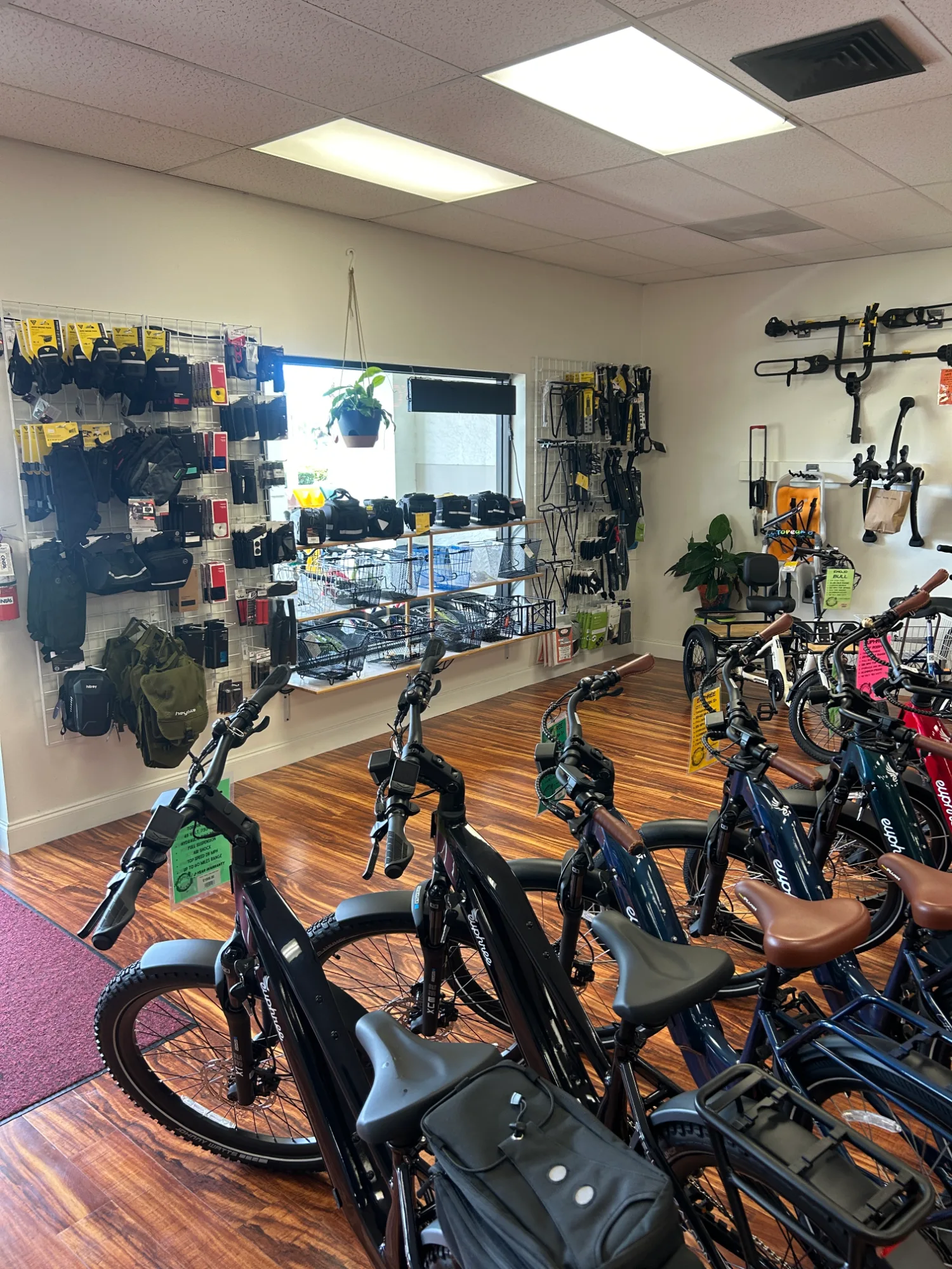 Bonita Bikes