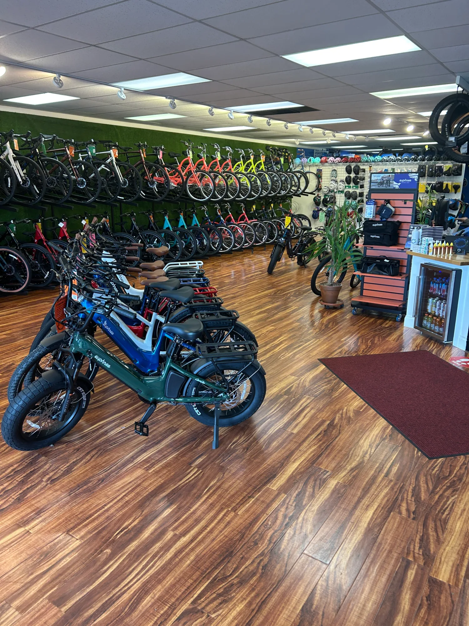 Showroom floor featuring Euphree fat-tire electric bikes on display with colorful road and mountain bikes wall-mounted on racks along a green turf accent wall