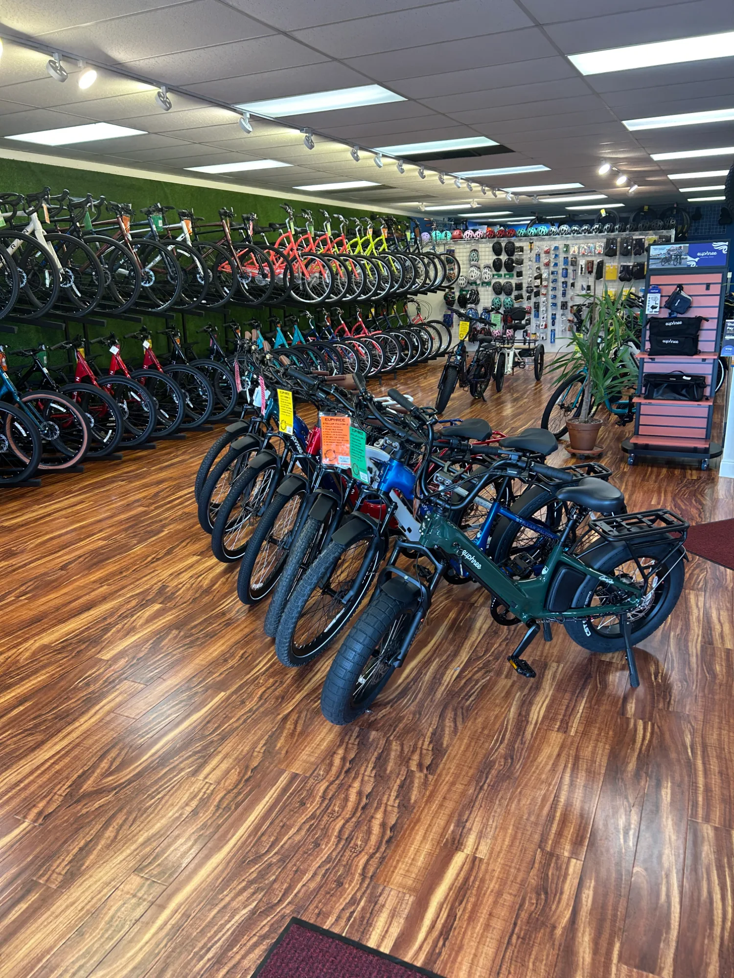 Bonita Bikes