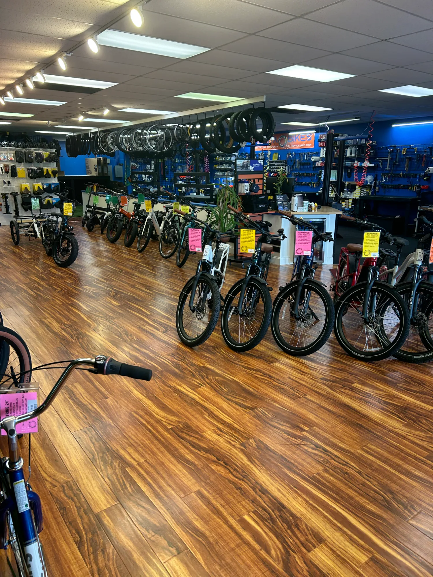 Bonita Bikes