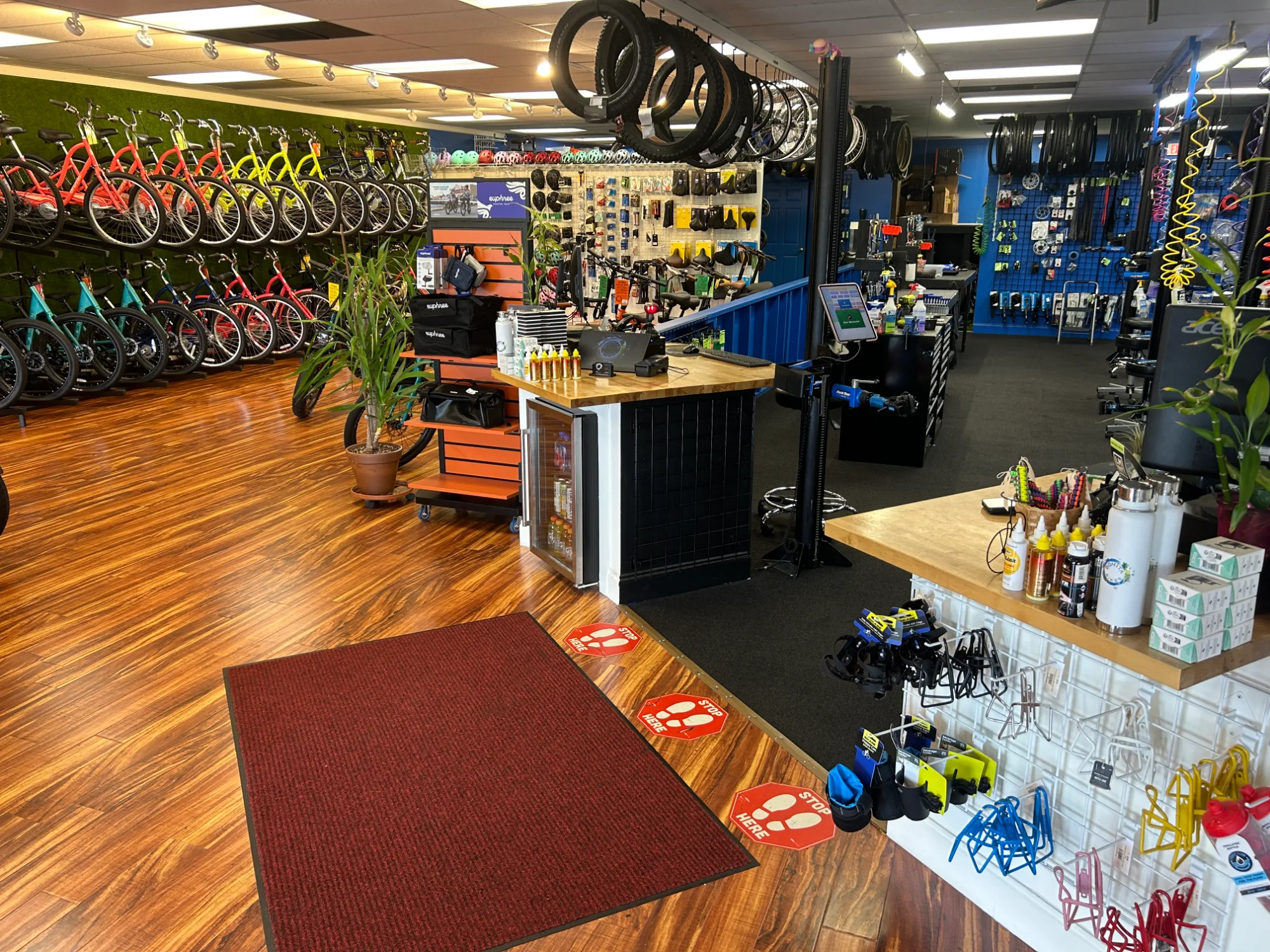 Bonita Bikes