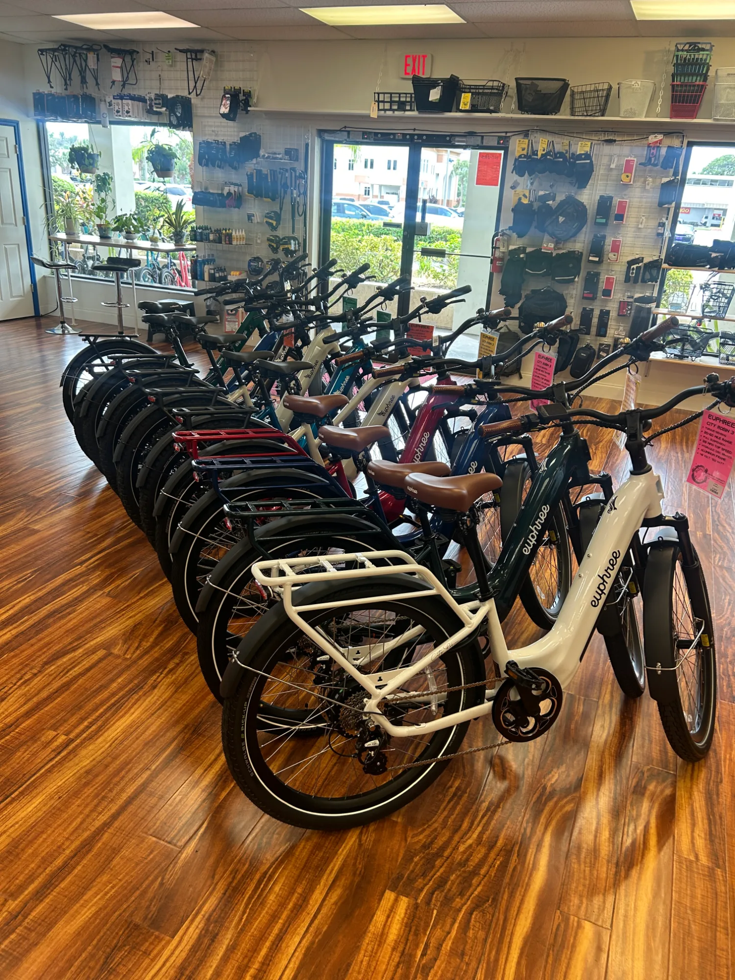 Wide showroom view with Euphree fat-tire electric bikes in the foreground, Marin and Sun mountain bikes wall-mounted in two tiers, and helmets and Bikase accessories in the back corner
