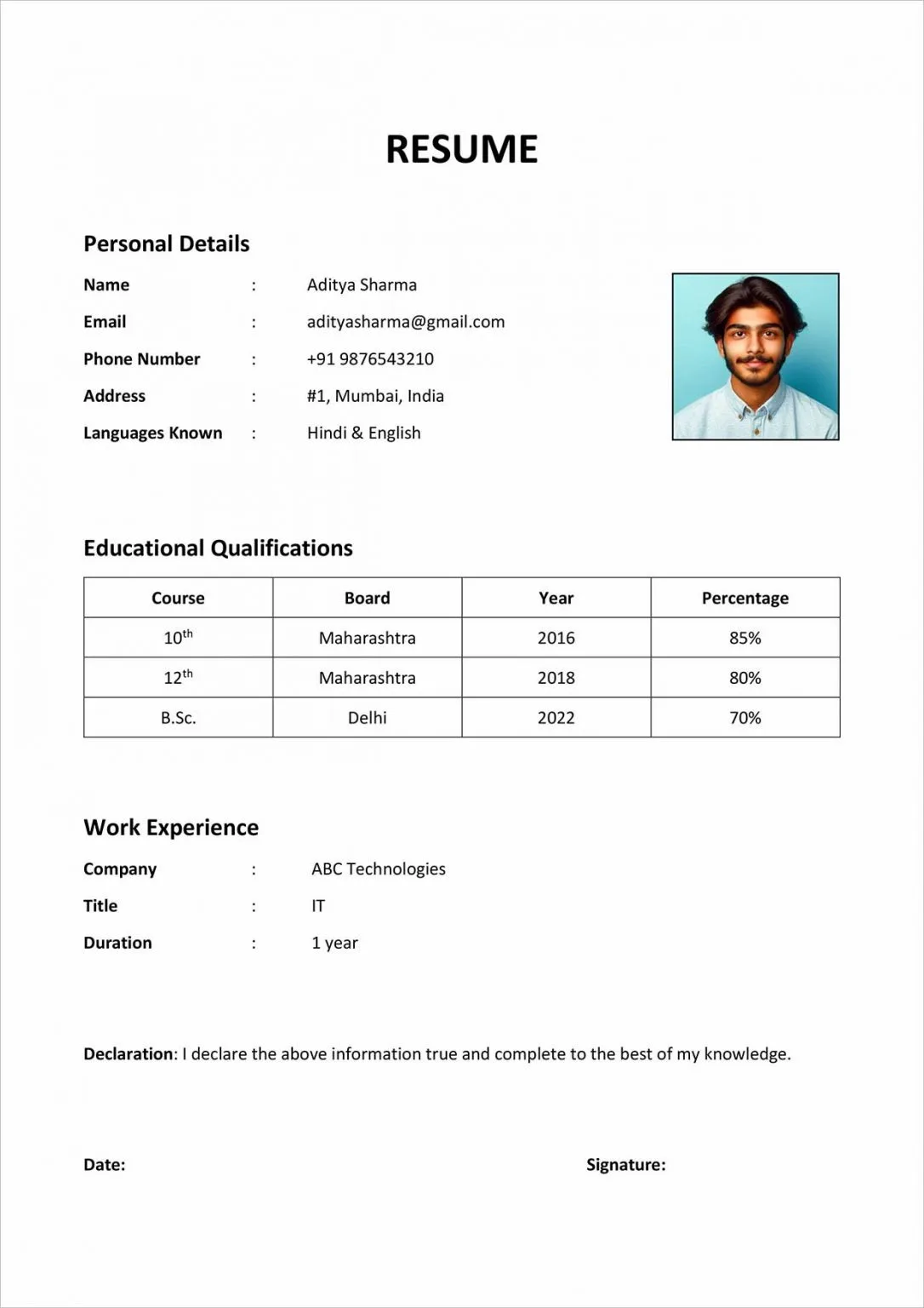 Biodata Template Screenshot