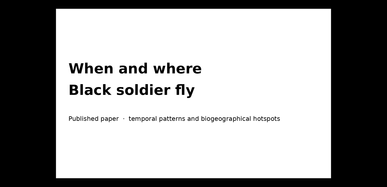 Black Soldier Fly