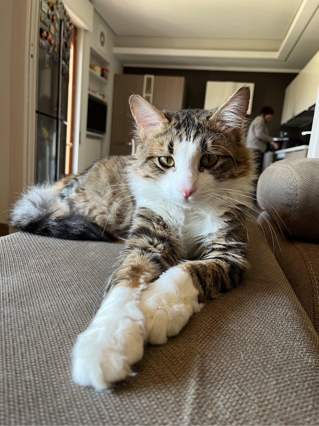 Profilfoto von Francesca