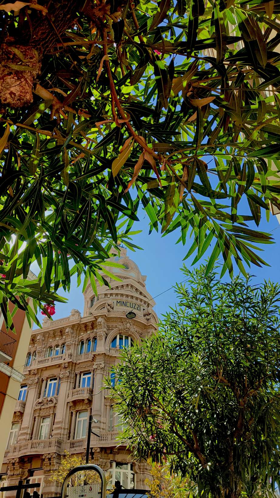 Profile photo of Emanuela 