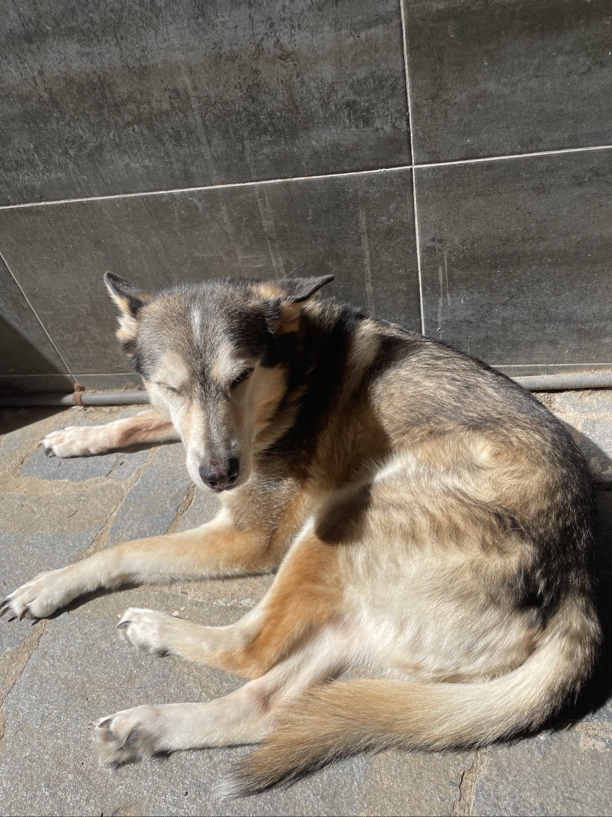 Foto profilo di Sonia