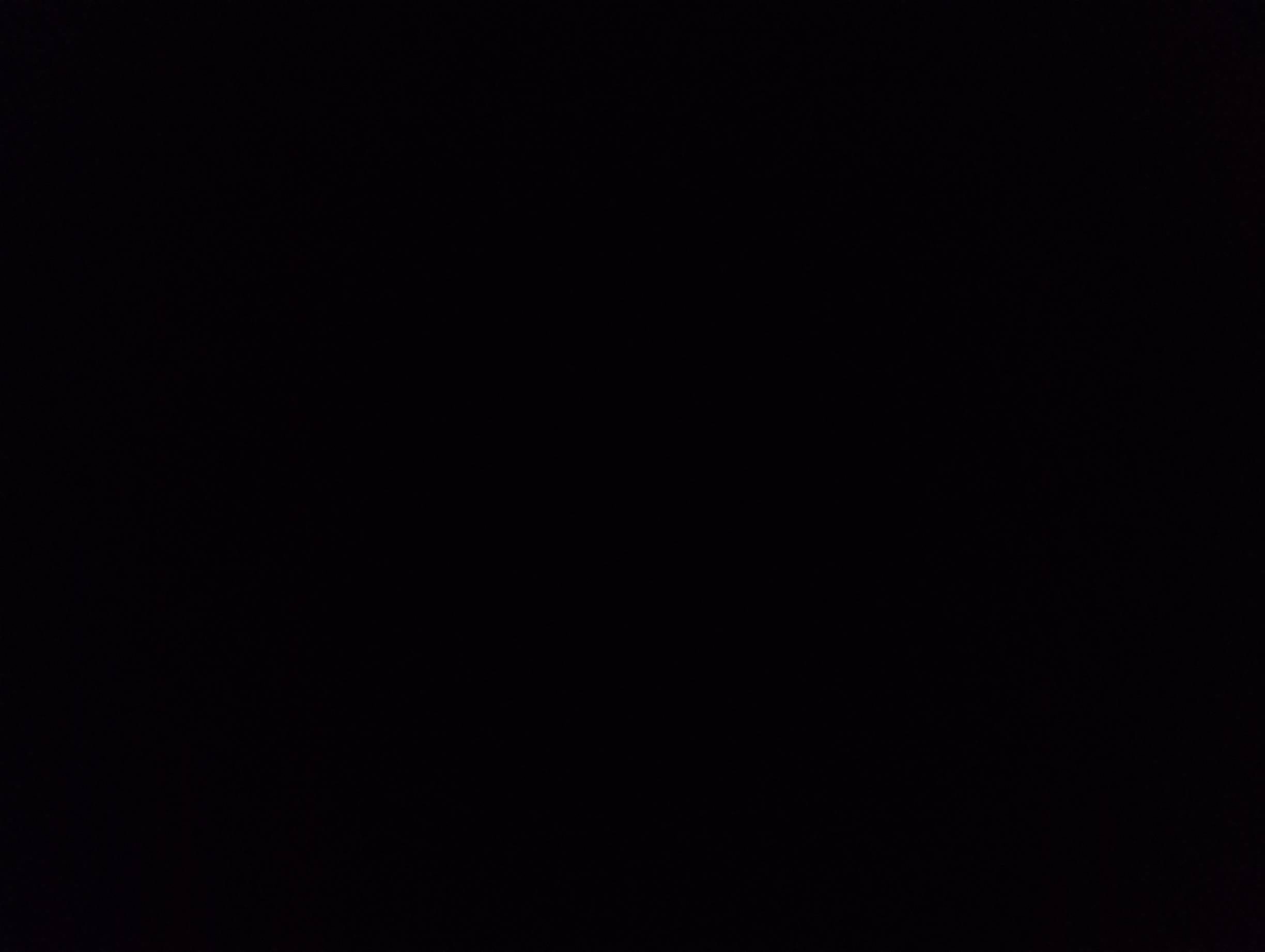 Photo de profil de Sara