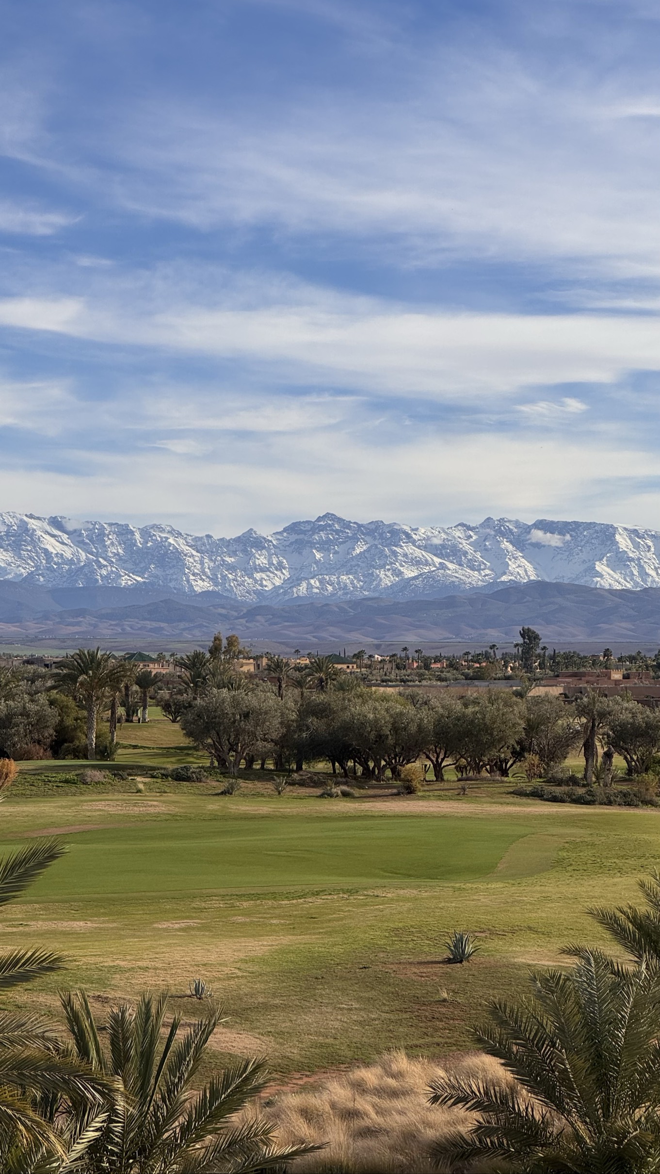 Photo de profil de Yasin