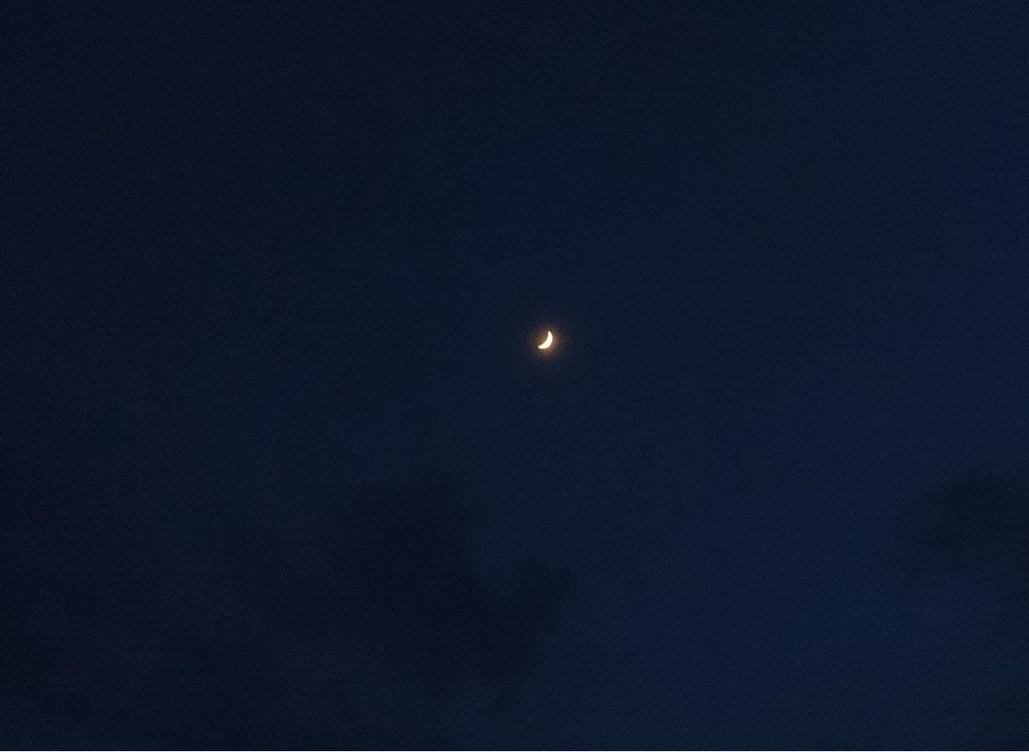 Foto de perfil de marta