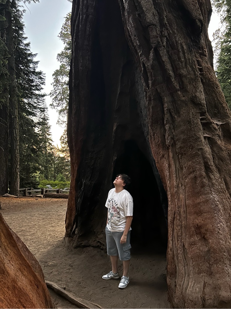 Foto de perfil de Diego