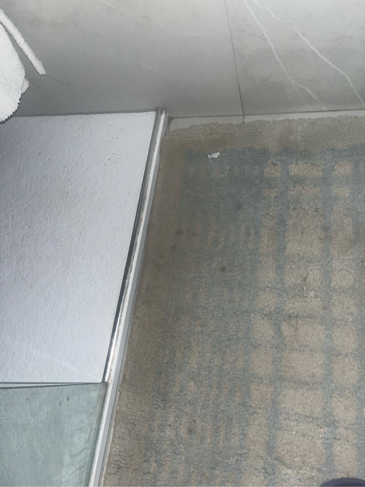 Profile photo of Francesco