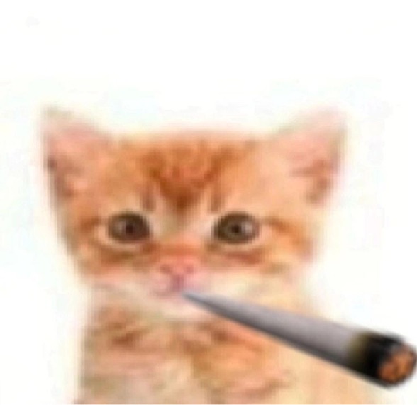 Foto della stanza a Perugia