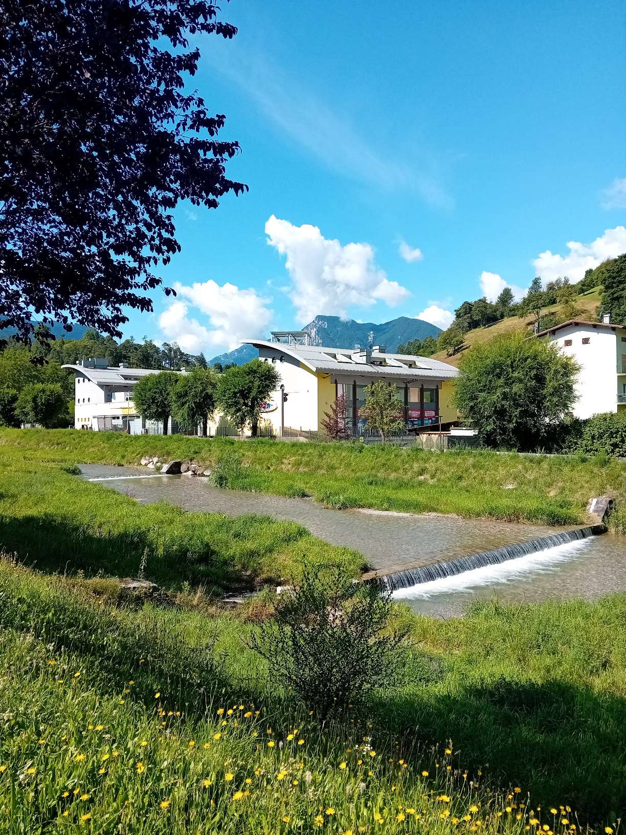 Profile photo of Alice