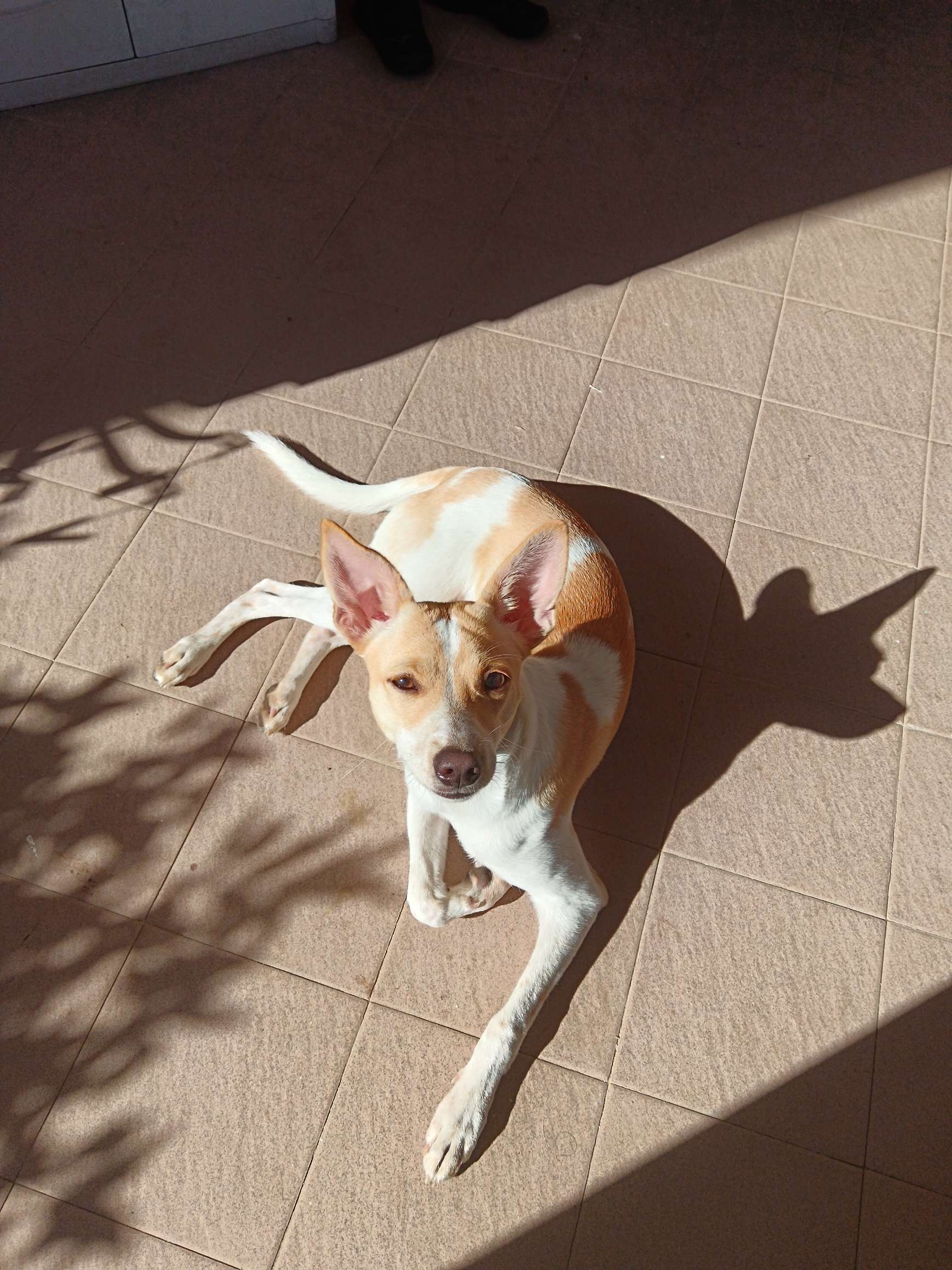 Profilfoto von Carmen