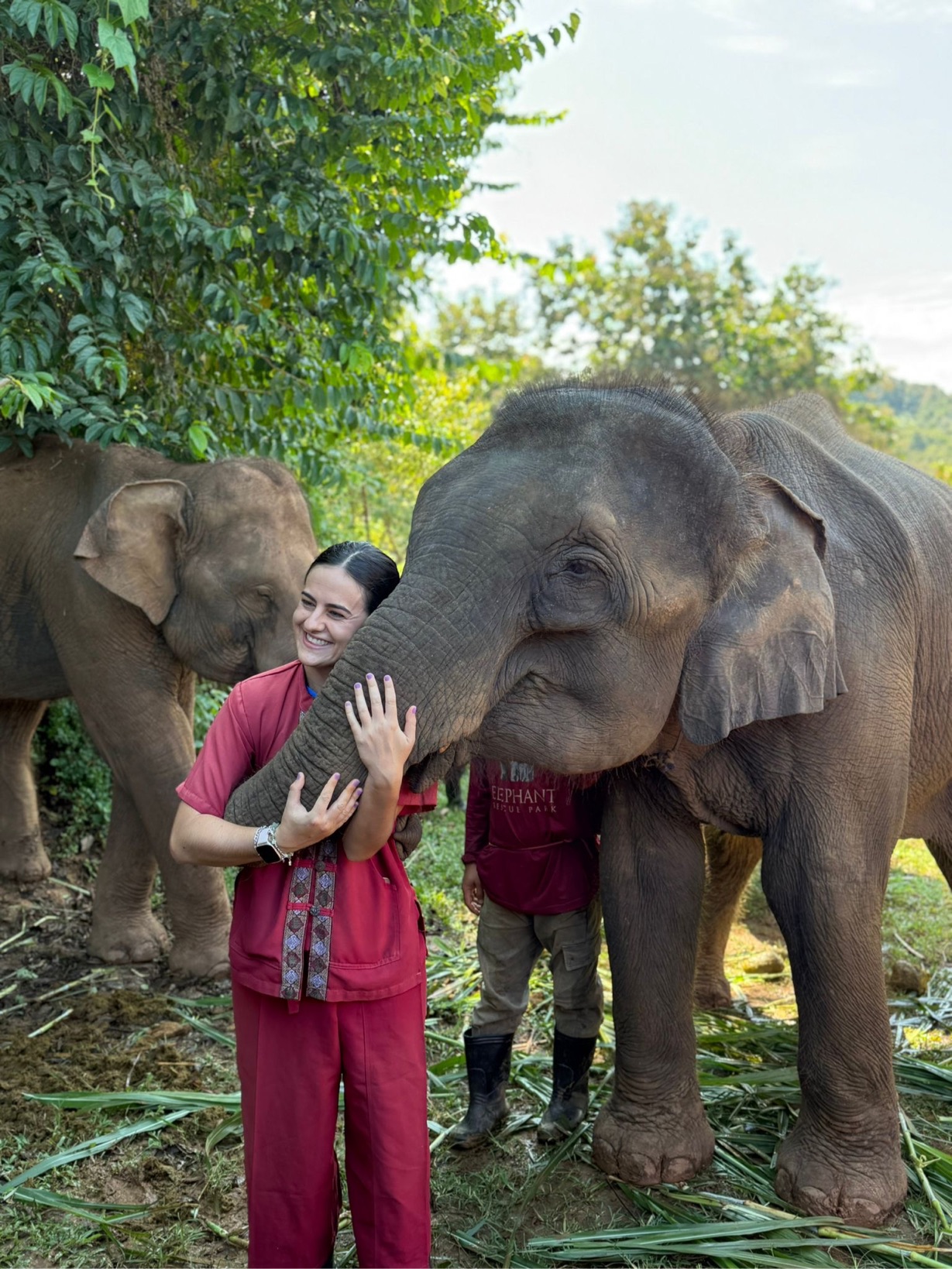 Profile photo of Alicia