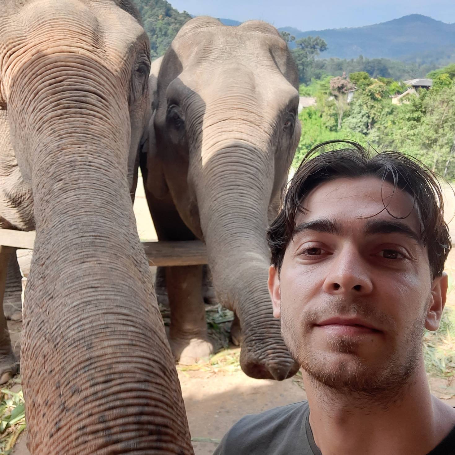 Foto de perfil de Lapo