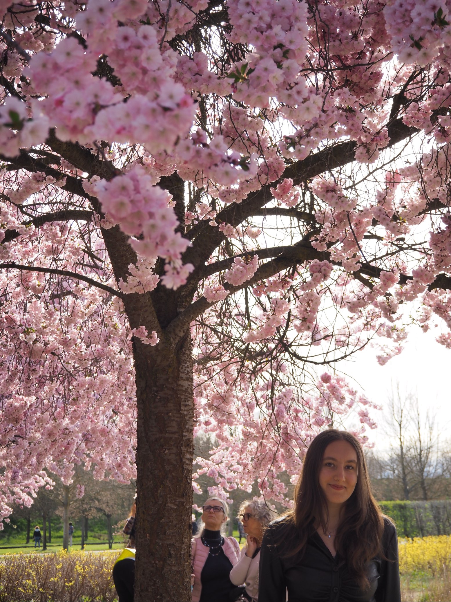 Foto de perfil de Viola