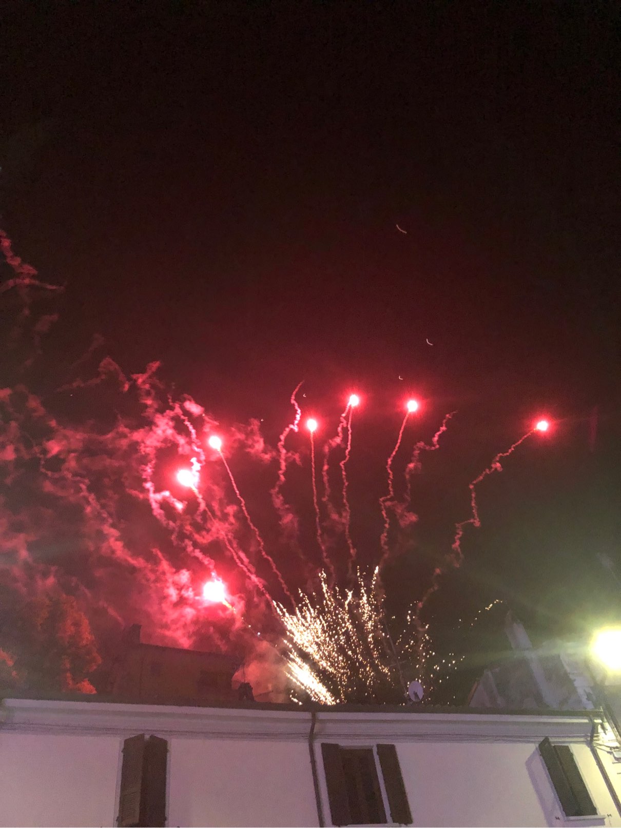 Profilfoto von Elisa