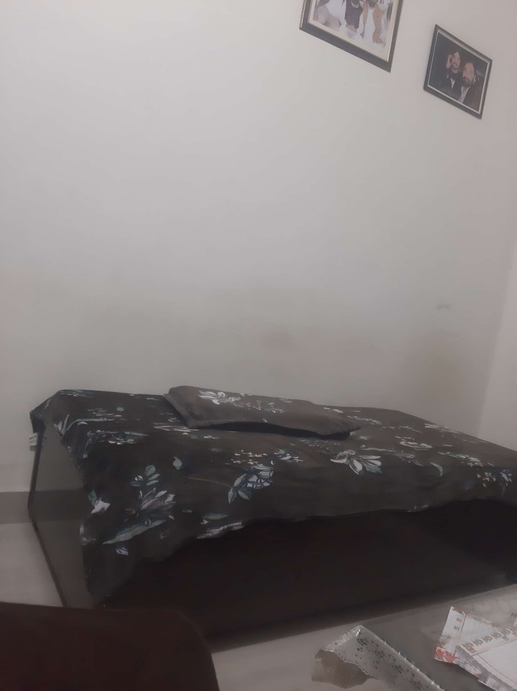 Photo de profil de Jass