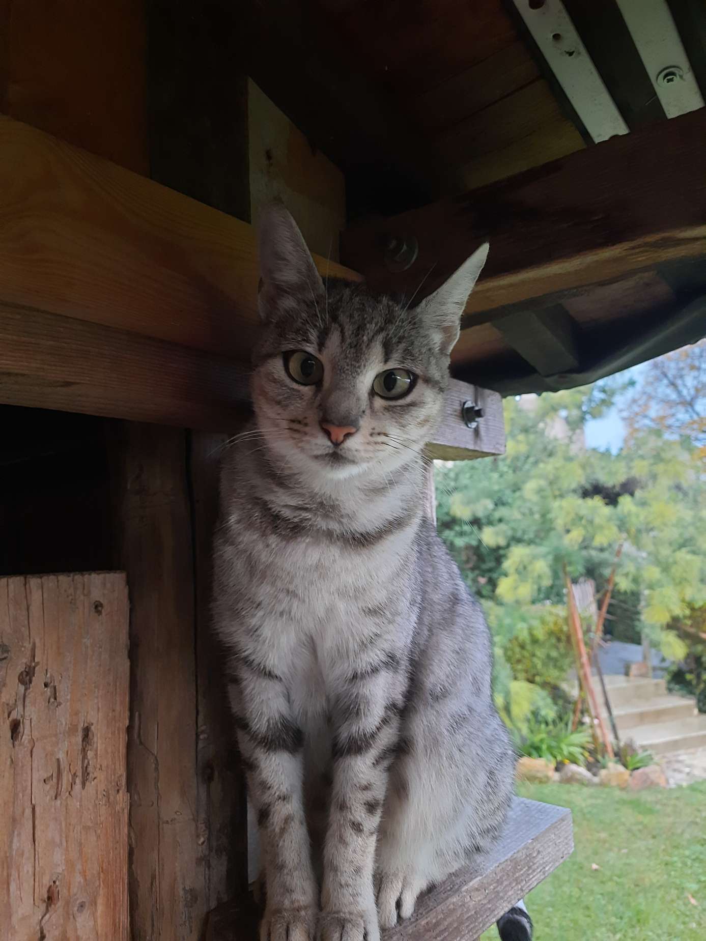 Profile photo of Camilla