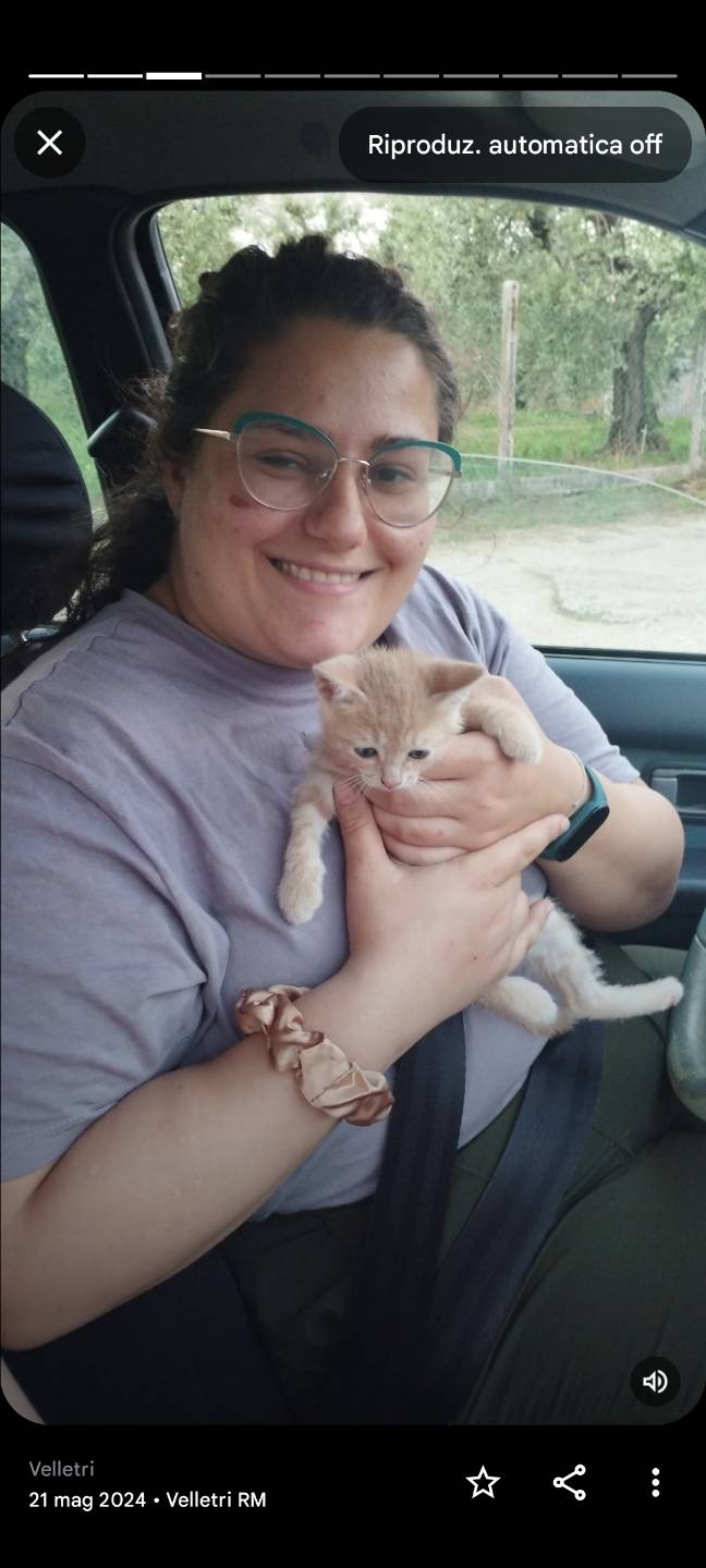 Profile photo of Siria