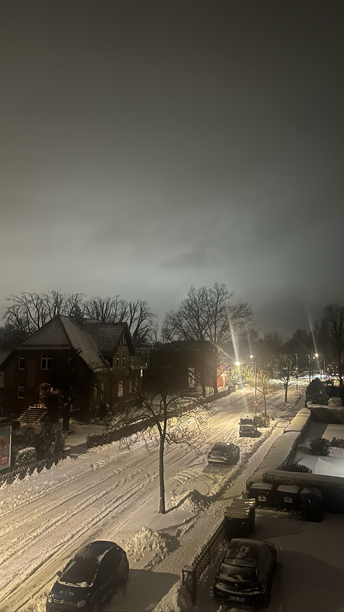 Photo de profil de zizzo