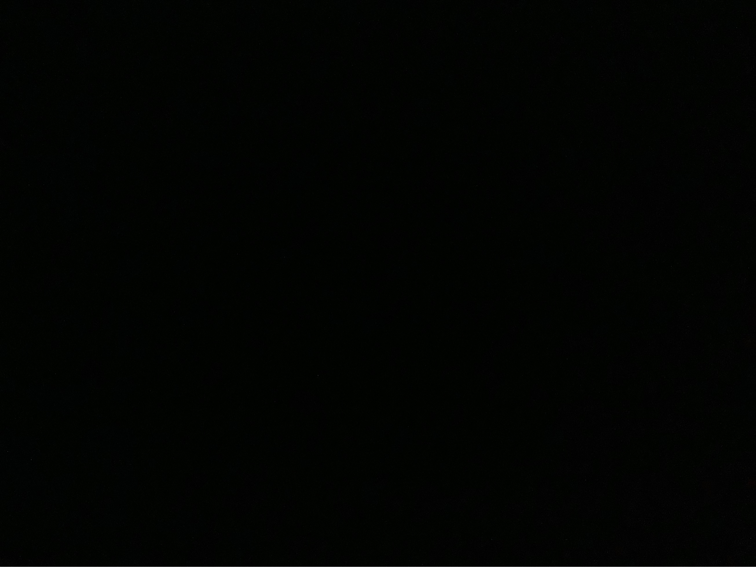 Profile photo of Fillo